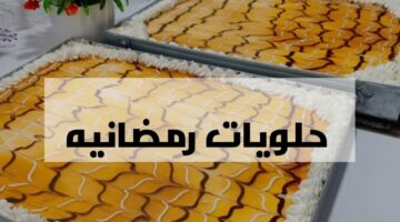 IMG ٢٠٢٤٠٢٠٧ ٢٢٥٩١٧