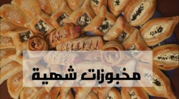 IMG ٢٠٢٤٠٢٠٧ ٢٢٥٩٣١