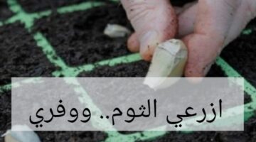 IMG ٢٠٢٤٠٢٠٧ ٢٣٠٠٠٢