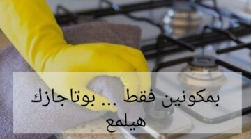 IMG ٢٠٢٤٠٢٠٧ ٢٣٠٠١٩