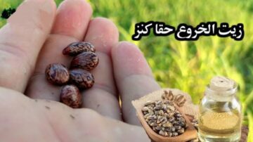 مش هتعرفي تمشي منه.. زيت سحري لتطويل وتكثيف الشعر بشكل مش هتصدقيه
