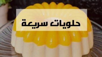 IMG ٢٠٢٤٠٢١٠ ٢٣٠١٣١