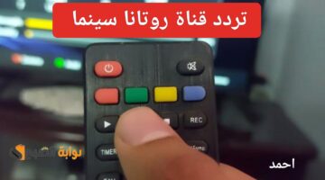 IMG ٢٠٢٤٠٢١١ ١٩٢٥٢١