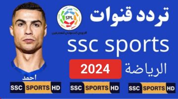 IMG ٢٠٢٤٠٢١١ ٢٠٠٨٢٢