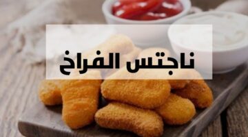 IMG ٢٠٢٤٠٢١١ ٢٣٥٠٢٩
