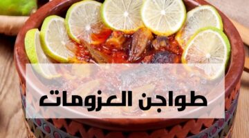 IMG ٢٠٢٤٠٢١٢ ٠٠٥٢٠٤