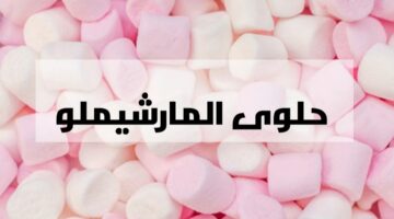 IMG ٢٠٢٤٠٢١٢ ٠٠٥٢١٦
