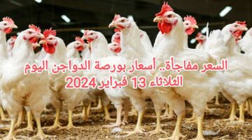 IMG ٢٠٢٤٠٢١٣ ١٠٠٣٠٠