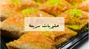 IMG ٢٠٢٤٠٢١٣ ٢٢٤٣٠٤