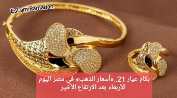 IMG ٢٠٢٤٠٢١٤ ٠١٢٠١٤