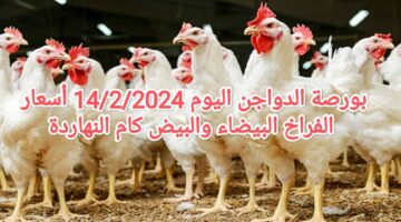 IMG ٢٠٢٤٠٢١٤ ١٠٤٥٤٢
