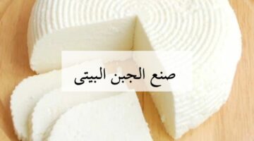 IMG ٢٠٢٤٠٢١٥ ٠١٠٤٤٣