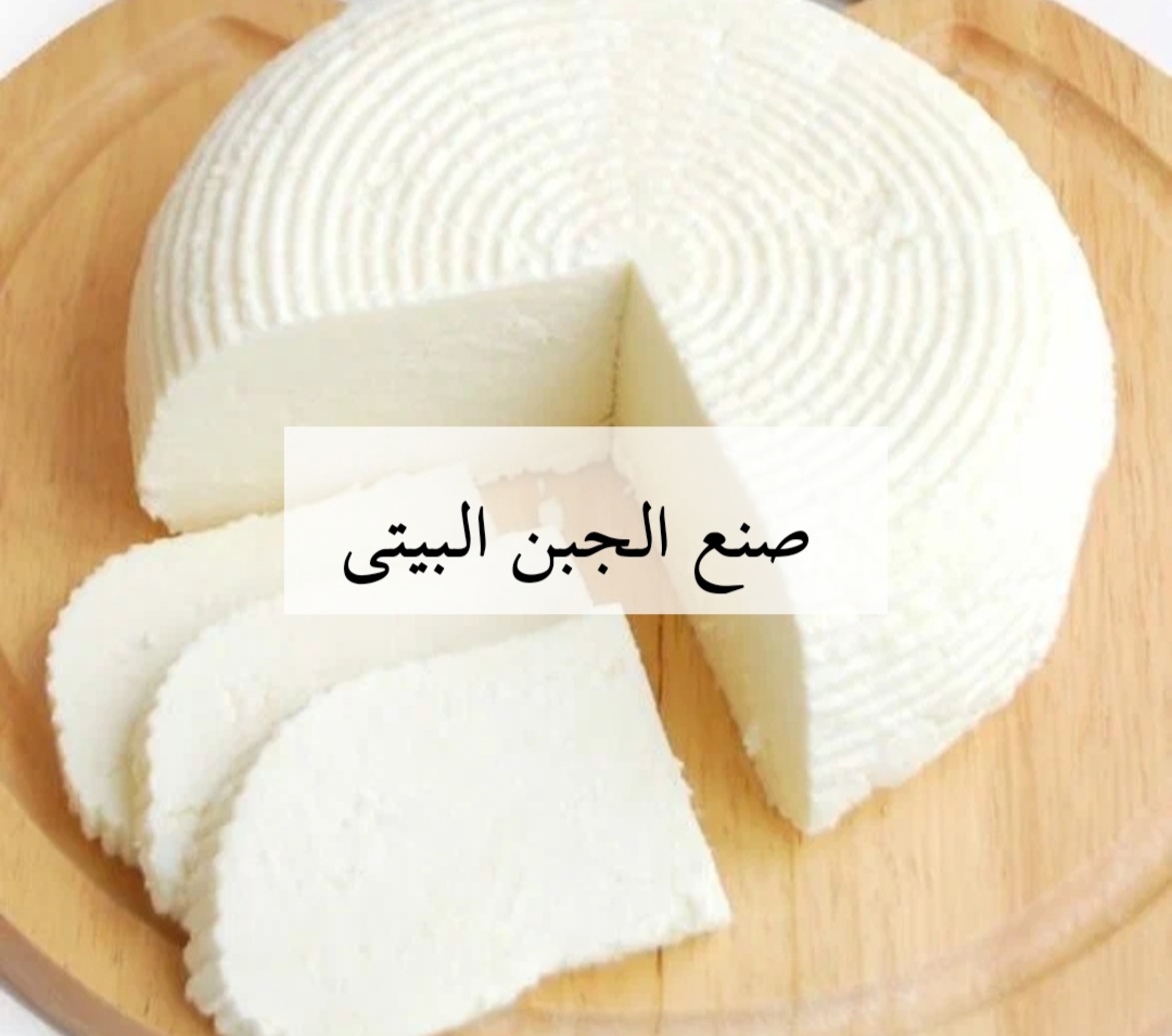 اعمليها واملى بيتك بيها ... طريقة صنع الجبنة البيتي بكميات كبيرة وأنواع مختلفة.. ووفرى على نفسك يامة!! 6 اعمليها واملى بيتك بيها … طريقة صنع الجبنة البيتي بكميات كبيرة وأنواع مختلفة.. ووفرى على نفسك يامة!!
