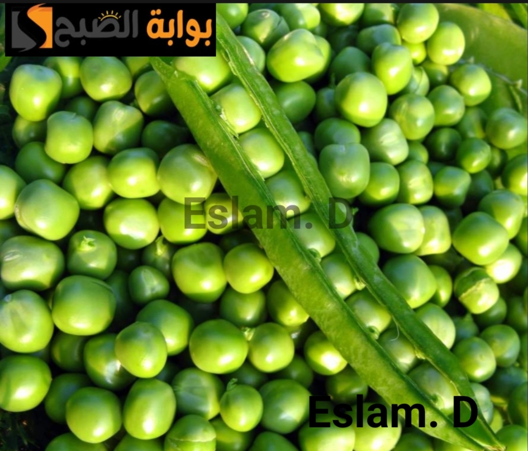 جارتي المغربية قالتلي عليها.. اسرع طريقة لتقشير البسلة وكمان تعملى ايه بقشور البسلة!! 5 جارتي المغربية قالتلي عليها.. اسرع طريقة لتقشير البسلة وكمان تعملى ايه بقشور البسلة!!