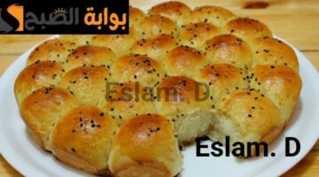 IMG ٢٠٢٤٠٢١٧ ١٠٣٤٠٩