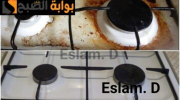 IMG ٢٠٢٤٠٢١٧ ١٠٣٧١٤