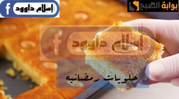IMG ٢٠٢٤٠٢١٨ ١٩٢٨١١