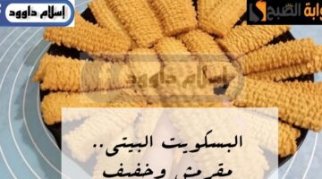 IMG ٢٠٢٤٠٢١٨ ٢٢٥١١٧ 1