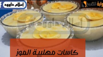 IMG ٢٠٢٤٠٢١٩ ٢٣٠٦٢٩