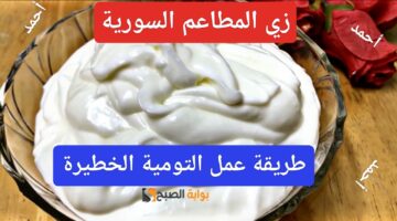 IMG ٢٠٢٤٠٢٢٠ ٢٣٢١٥٢