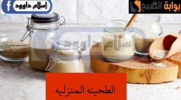 IMG ٢٠٢٤٠٢٢٤ ٠١٣٦٥٩