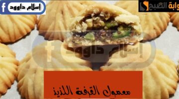 IMG ٢٠٢٤٠٢٢٤ ٠١٣٧٢٧