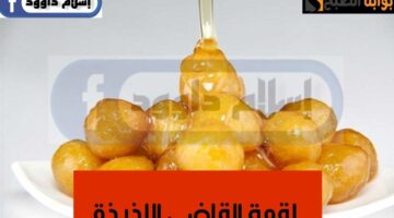 IMG ٢٠٢٤٠٢٢٥ ٠٠٥٦٥٨