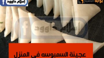 IMG ٢٠٢٤٠٢٢٥ ٠٠٥٧١٢