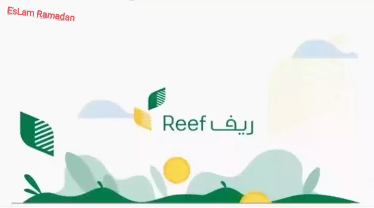 كيف يمكن لغير المؤهلين في دعم المواشي إعادة تقديم الدفعة 24؟ الرد من وزارة الزراعة 5 كيف يمكن لغير المؤهلين في دعم المواشي إعادة تقديم الدفعة 24؟ الرد من وزارة الزراعة