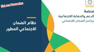 IMG ٢٠٢٤٠٢٢٧ ١١٤٥٠٤
