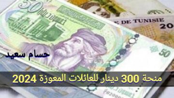 “بادر بالتسجيل NOW” التسجيل في منحة 300 دينار للعائلات المعوزة 2024 بتونس social.gov.tn والشروط المطلوبة