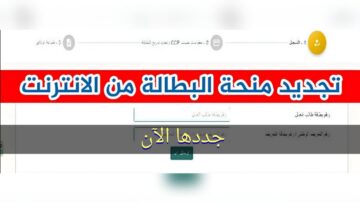 “Pas à pas” تجديد منحة البطالة 2024 بالجزائر anem.dz والشروط المطلوبة