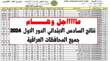 InCollage ٢٠٢٤٠٢١٤ ٢٣٣٧١٥٢٤٠