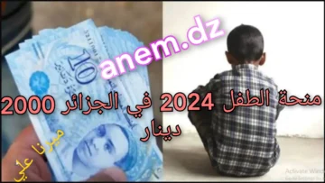 “2000 دينار جزائرى” anem.dz شروط وخطوات الحصول على منحة الطفل 2024 في الجزائر