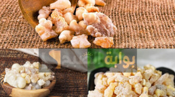 InShot ٢٠٢٤٠١١٥ ١٤٤٣٤٩١٨٠ 1