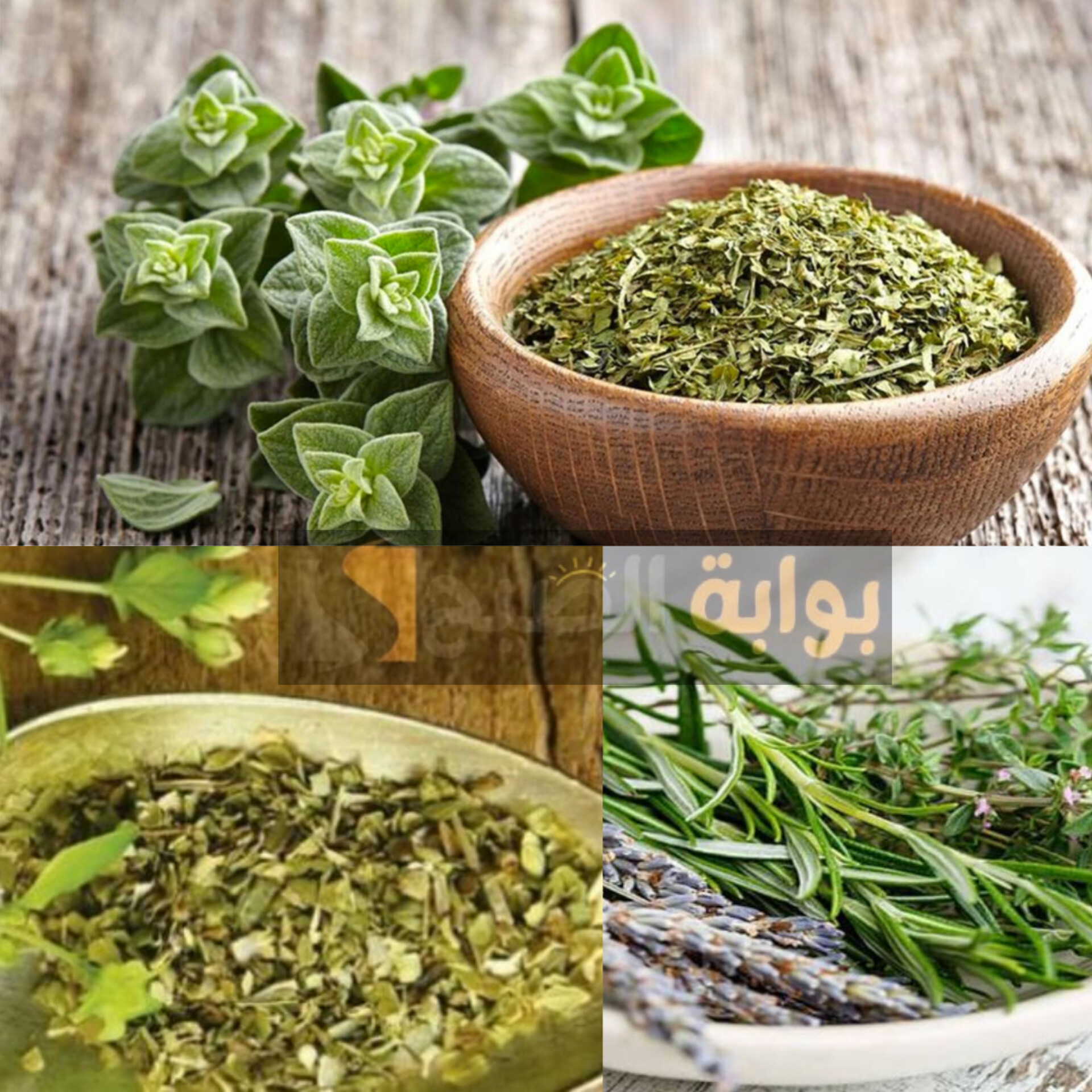 حلك في العطارة…عشبة طبيعية لجعل شعرك أقوى وأطول بدون تكاليف