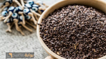 يا ريتني عرفتها من زمان….العشبة الجبارة للتخلص من حشرات الرأس خلال 24 ساعة