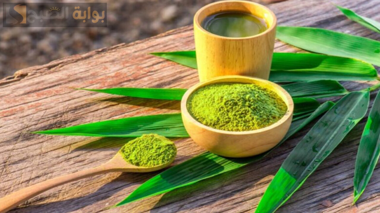 دي بير أسرار.. استخدمي تلك العشبة السحرية بهذا الشكل للتعرف على فوائدها المدهشة