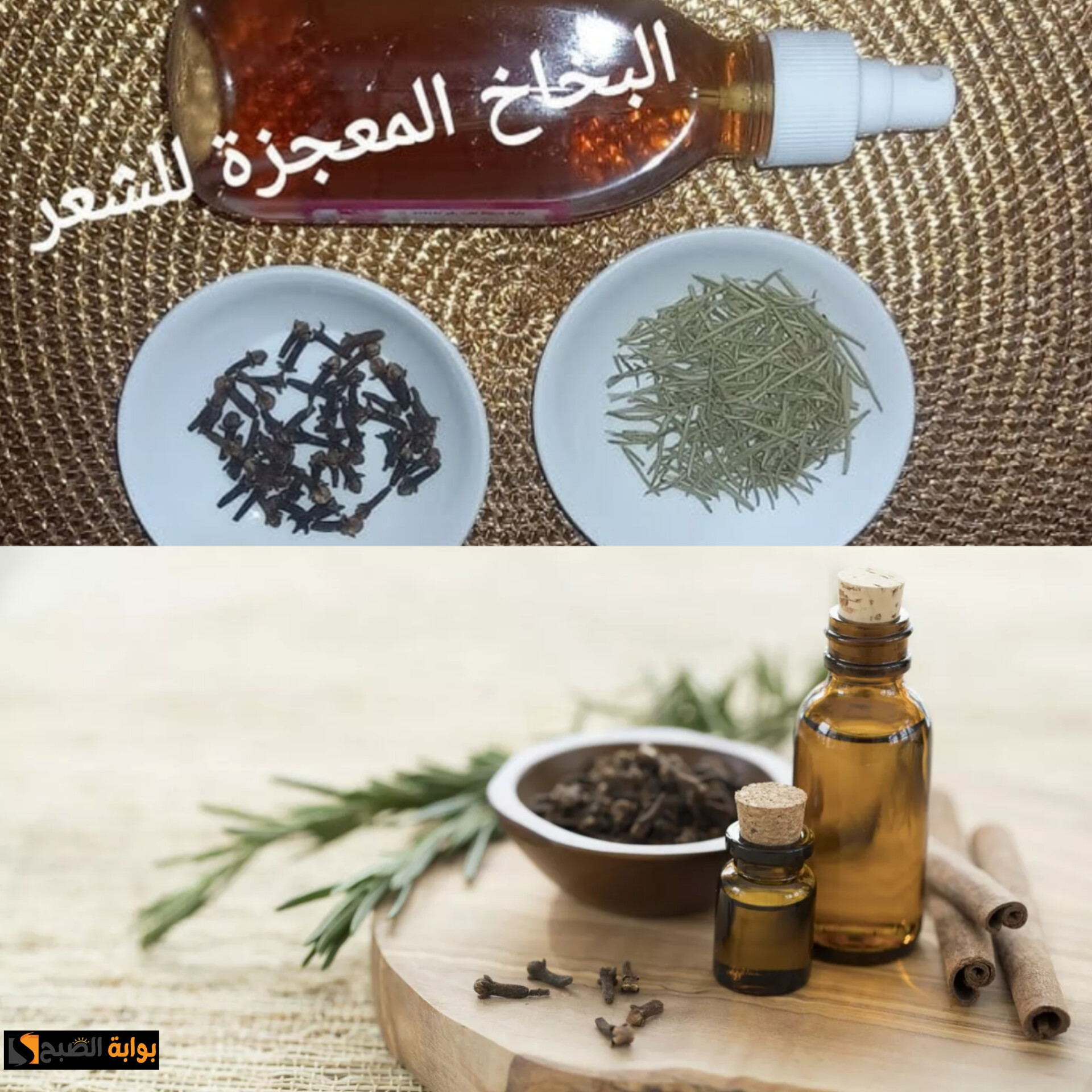 شعرك هيبهر الجميع…أقوى تونر لتطويل الشعر ومنع التساقط بأعشاب من الطبيعة