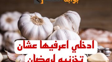 Picsart 24 02 05 00 04 09 411