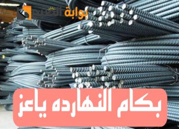 “بكام النهارده ياعز”.. تعرف على اسعار الحديد والاسمنت اليوم الخميس 8 فبراير 2024