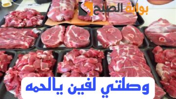 “بكام اللحمة ياعم”.. تعرف على اسعار اللحوم اليوم الجمعه 9 فبراير 2024 في مختلف الاسواق!!