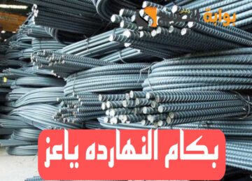 “بكام النهارده ياعز”.. تعرف على اسعار الحديد والاسمنت اليوم السبت 10 فبراير 2024..!!