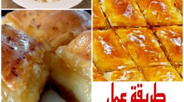 Picsart 24 02 10 14 25 21 847 1