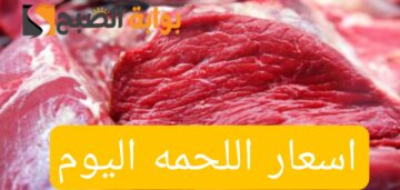 “بكام النهارده اللحمه”.. تعرف على اسعار اللحمه اليوم السبت 10 فبراير 2024