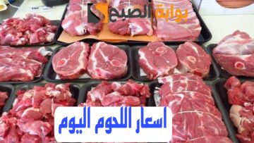 “بكام اللحمة النهارده” أسعار اللحوم اليوم الأحد الموافق 11 فبراير 2024 في مصر 