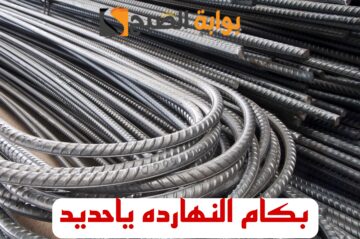 “بكام الحديد النهاردة”.. تعرف على أسعار الحديد والأسمنت اليوم الإثنين الموافق 12 فبراير 2024 في الأسواق!!