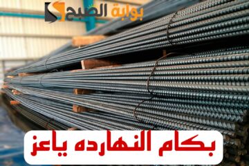 “بكام الحديد النهارده”.. مفاجأة غير متوقعة في أسعار الحديد اليوم الثلاثاء الموافق 13 فبراير 2024 في الأسواق