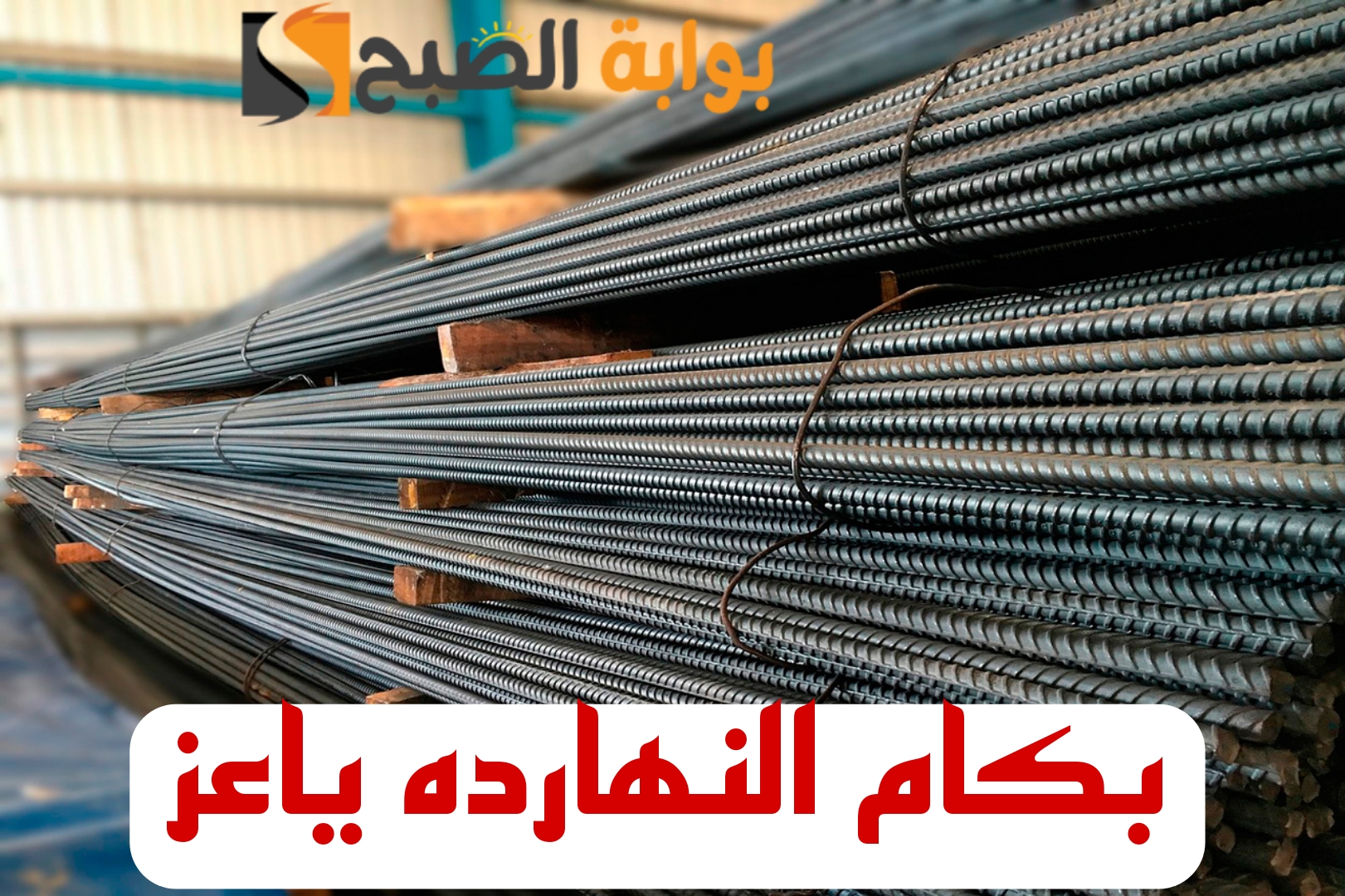 "بكام الحديد النهارده".. مفاجأة غير متوقعة في أسعار الحديد اليوم الثلاثاء الموافق 13 فبراير 2024 في الأسواق 6 “بكام الحديد النهارده”.. مفاجأة غير متوقعة في أسعار الحديد اليوم الثلاثاء الموافق 13 فبراير 2024 في الأسواق