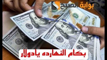 “بكام النهارده يا دولار”.. تعرف على اسعار الدولار اليوم الاربعاء 14 فبراير 2024 في مختلف البنوك..!!